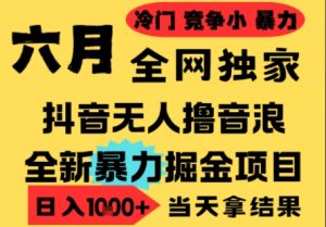 25年6月高爆抖音无人直播最新撸音浪掘金项目,小白可做,无脑日入1k+,门槛低可批量矩阵【揭秘】-水滴知识网