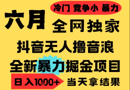 25年6月高爆抖音无人直播最新撸音浪掘金项目,小白可做,无脑日入1k+,门槛低可批量矩阵【揭秘】-水滴知识网