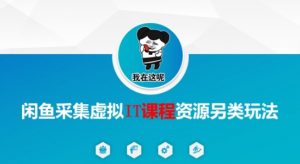 闲鱼采集虚拟IT课程资源另类玩法,干货满满-水滴知识网