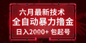 六月最新技术全自动暴力撸金,稳定日入2k+包起号,长期稳定【揭秘】-水滴知识网