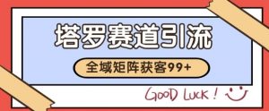 小红书某音塔罗赛道引流获客 自热矩阵日引200+【揭秘】-水滴知识网