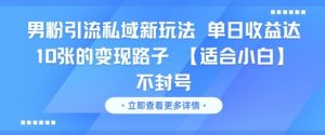 男粉引流私域新玩法，单日收益达10张的变现路子 【适合小白】不封号-水滴知识网