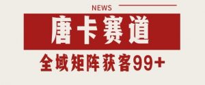 小红书某音唐卡赛道引流获客 自热矩阵日引200+【揭秘】-水滴知识网