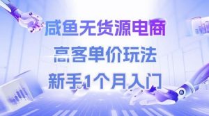 咸鱼无货源电商,高客单价玩法,新手1个月入门-水滴知识网
