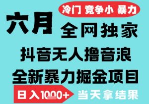 2025年6月高爆抖音无人直播最新撸音浪掘金项目,无脑日入1k+,低门槛小白可做,可矩阵放大【揭秘】-水滴知识网