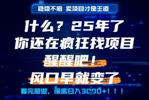 什么?25年你还在疯狂找项目做,醒醒吧,看完这些你全都懂了!【揭秘】-水滴知识网