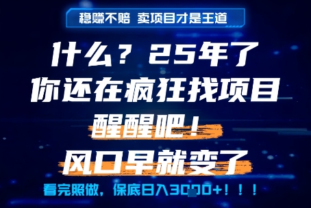 什么?25年你还在疯狂找项目做,醒醒吧,看完这些你全都懂了!【揭秘】-水滴知识网