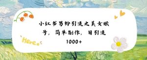 小红书男粉引流项目之美女账号6，简单制作，条条爆款原创，不违规-水滴知识网