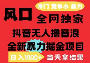 25年6月高爆抖音无人直播最新撸音浪掘金项目,解放双手小白可做,无脑日入1k+,门槛低【揭秘】-水滴知识网