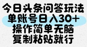 今日头条问答玩法,单账号日入30+,操作简单无脑复制粘贴就行-水滴知识网
