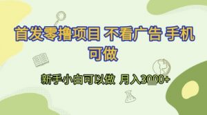 首发零撸项目 不看广告 手机可做 新手小白可以做  月入3k+【揭秘】-水滴知识网