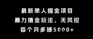 最新单人掘金项目，暴力撸金玩法，无风控，每个月多挣5k+【揭秘】-水滴知识网
