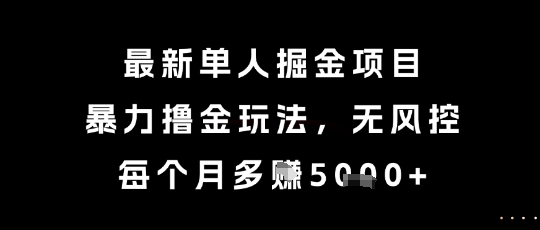最新单人掘金项目，暴力撸金玩法，无风控，每个月多挣5k+【揭秘】-水滴知识网