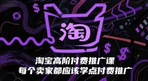 淘宝高阶付费推广课,每个卖家都应该学点付费推广-水滴知识网
