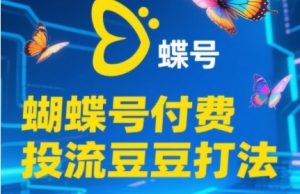 2025蝴蝶号付费投流豆豆打法,助新手快速掌握付费流量撬动自然流的核心玩法-水滴知识网