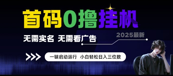 首码0撸挂G项目,无需实名无需看广告 一键启动运行,小白轻松日入三位数【揭秘】-水滴知识网