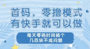 首码零撸项目,有快手就可以做,每天业务时间搞个几张不是问题【揭秘】-水滴知识网
