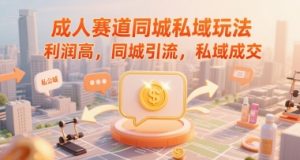 成人赛道同城私域玩法,利润高,同城引流,私域成交-水滴知识网