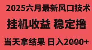 2025六月最新风口技术，无人挂G撸礼物，长期稳定 一个小时收益2k+，小白当天拿结果【揭秘】-水滴知识网
