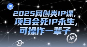 2025网创类IP课,项目会死IP永生,可操作一辈子-水滴知识网