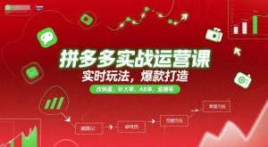 拼多多实战运营课，实时玩法，爆款打造，改销量，补大单，AB单，直播等（更新2025月）-水滴知识网