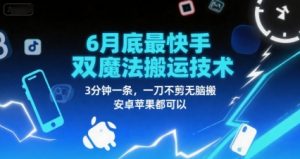 6月底最新快手双魔法搬运技术，3分钟一条，一刀不剪无脑搬，安卓苹果都可以-水滴知识网