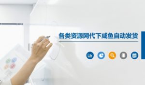 各类资源网代下咸鱼自动发货-水滴知识网