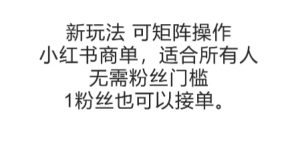 可矩阵操作，小红书商单新玩法，适合所有人，无需粉丝门槛，1粉丝也可以接单-水滴知识网