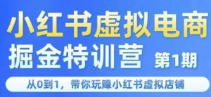 小红书虚拟电商掘金特训营第1期,从0到1,带你玩转小红书虚拟店铺-水滴知识网