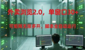 外卖浏览2.0,单窗口30+可矩阵无限多开,脚本全自动运行【揭秘】-水滴知识网