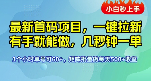 最新首码项目，一键拉新有手就能做，几秒钟一单，1个小时单号可60+，矩阵批量做每天5张【揭秘】-水滴知识网