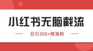 小红书截流同行客源，独家野路子获客玩法 日引200+暴力获客【揭秘】-水滴知识网