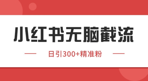 小红书截流同行客源,独家野路子获客玩法 日引200+暴力获客【揭秘】-水滴知识网