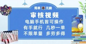 审核视频,电脑手机皆可操作,有手就行,几秒一单,不限单量,多劳多得【揭秘】-水滴知识网