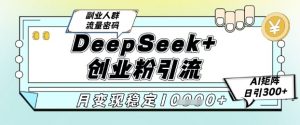 DeepSeek+创业粉精准引流,全新分享课4.0玩法,AI矩阵日引300+,多种变现方式,稳定月入1W-水滴知识网