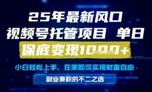 25年最新风口,视频号托管项目,单日保底变现1k+,手把手教学【揭秘】-水滴知识网