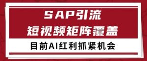 小红书某音sap赛道引流获客 自热矩阵日引200+【揭秘】-水滴知识网