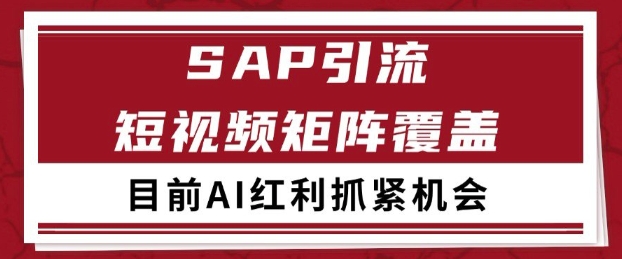 小红书某音sap赛道引流获客 自热矩阵日引200+【揭秘】-水滴知识网
