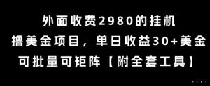 外面收费2980的挂G撸美金项目，单日收益30+美金，可批量可矩阵【揭秘】-水滴知识网