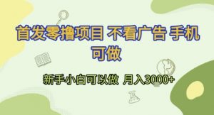 首发零撸项目 不看广告 手机可做 新手小白可以做  月入3k+【揭秘】-水滴知识网