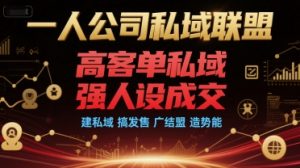 一人公司私域联盟,高客单私域,强人设成交,建私域 搞发售 广结盟 造势能-水滴知识网