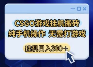 CSGO游戏挂G搬砖，小白纯手机即可操作，不用电脑打游戏，日入3张+，副业网创项目【揭秘】-水滴知识网