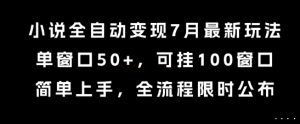 小说全自动变现7月玩法，单窗口50+，可挂100窗口，简单上手，全流程限时公布【揭秘】-水滴知识网