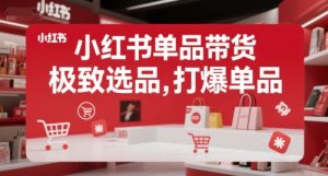 小红书单品带货,极致选品,打爆单品-水滴知识网