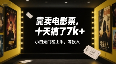 靠卖电影票,十天搞了7k+,小白无门槛上手,零投入【揭秘】-水滴知识网