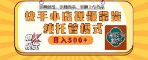 快手小店托管代运营,无需剪辑,无需选品,无需上传作品,全程无需操作,轻松月入5k+【揭秘】-水滴知识网
