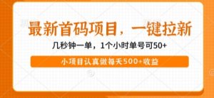 最新首码项目，操作最简单，收益高，一键拉新，1个小时单号可50+，小项目认真做每天5张+收益【揭秘】-水滴知识网