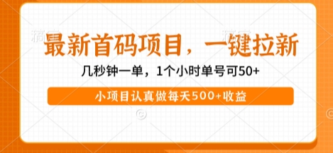最新首码项目,操作最简单,收益高,一键拉新,1个小时单号可50+,小项目认真做每天5张+收益【揭秘】-水滴知识网