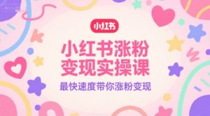 小红书涨粉变现实操课,最快速度带你涨粉变现-水滴知识网