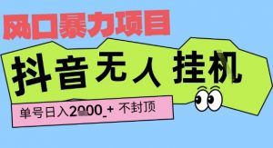 2025最新抖音暴力挂G撸金项目,单号产出2k+ ,小白当天也能拿结果,长期稳定做的项目【揭秘】-水滴知识网